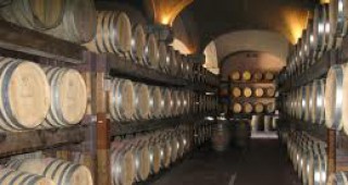 Променливите климатични условия свиха винопроизводството с 16%