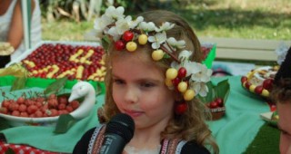 В Кюстендил се провежда традиционният фестивал 