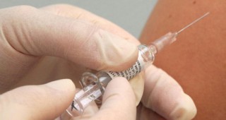Извънредна ваксинация срещу антракс се извършва в Ямболска област