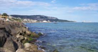 Изкуствен миден риф ще чисти крайбрежните черноморски води