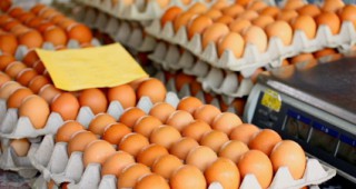 3 869 яйца от верига магазини в Пловдив са поставени под възбрана за реализация на пазара