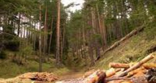 Земеделското министерство обяви горските заменки със забрана за строеж