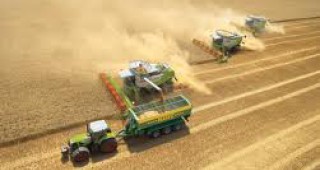 Зърнопроизводителите очакват добра реколта