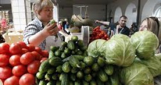 Русия възстанови вноса на зеленчуци от Холандия и Белгия
