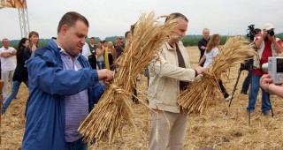 Министърът на земеделието и храните д-р Мирослав Найденов откри жътвата в село Божурец