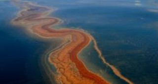 Петролен разлив замърси река Йелоустоун в едноименния национален парк в САЩ