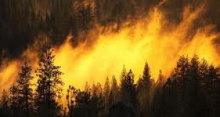 България ще изгради система за ранни предупреждения от пожари в горите
