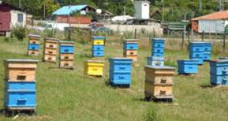 Пчеларите могат да кандидатстват за купуване на кошери