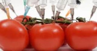 Държавите членки могат да ограничават или забраняват ГМО и по екологични причини