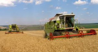 280 килограма от декар е прогнозният добив от пшеница в Кюстендилска област