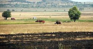 Пожар унищожи над 20 дка житни култури в землището на исперихското село Духовец