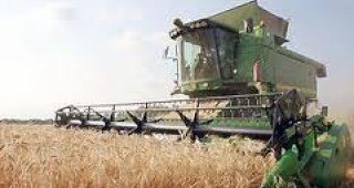 В община Исперих е най-висок средният добив на пшеница в Разградско