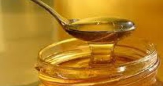 Най-скъпият мед на пазара в Добрич е акациевият
