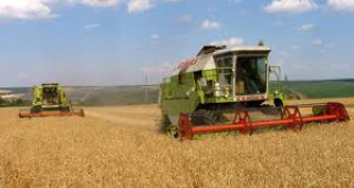 Започна жътвата на пшеница в Ловешка област