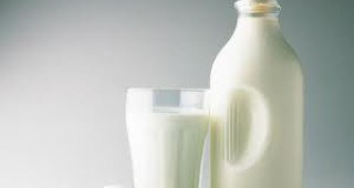 Затвориха нерегламентиран пункт за изкупуване на мляко във Враца