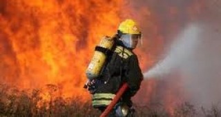 Пожар изпепели 30 декара гора в Благоевградско