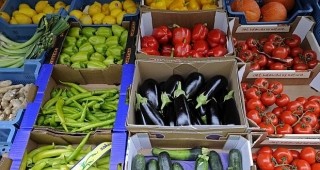 Щетите за българските зеленчукопроизводители, вследствие на кризата с Е. коли, възлизат на 2 562 747 евро
