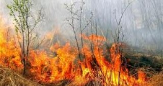 Потушен е пожарът около елховското село Лесово