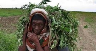 Източна Африка преживява най-лошата суша от 60 години
