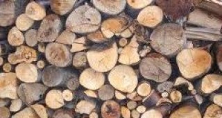 Добивът на дървесина в частните гори може да се извършва от самите собственици