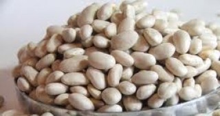 Масирани проверки за наличие на семена от сминдух, внесени от Египет, в област Сливен
