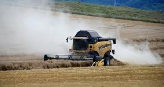Приключва жътвата на пшеница в страната