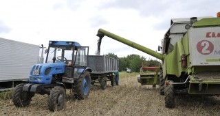 466 кг среден добив от пшеница жънат в Добричка област