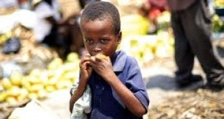 Световната програма за прехрана е доставила 10 тона извънредна помощ до Могадишу