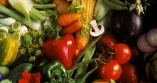 Субсидират зеленчукопроизводителите на килограм за качествена продукция