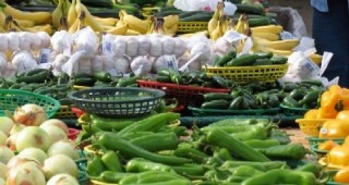 Зеленчукопроизводителите от област Благоевград започват преговори за създаване на сдружение