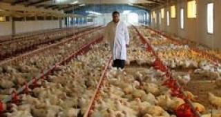 Превантивни мерки срещу птичи грип в Силистра