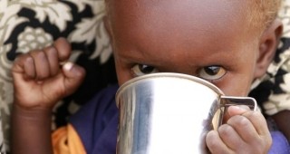 Световната програма по прехраната разследва кражби на храни в Сомалия