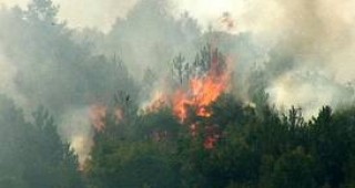 3123 дка сухи треви и стърнища са изгорели в Пазарджишко през последния един месец