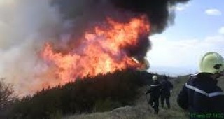 120 декара борова гора е обхваната от пожара, възникнал в района на костинбродските села Безден и Богьовци