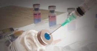 Нов, устойчив на ваксините птичи грип, е регистриран в Азия