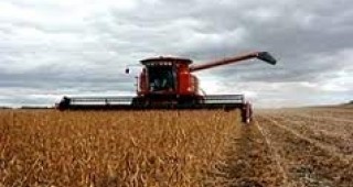 Произведеното количество пшеница за област Благоевград е 5935 тона