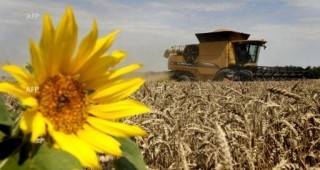От община Добрич не разрешиха протестния митинг на зърнопроизводителите