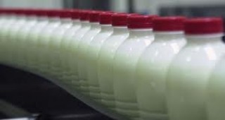 От днес започва прием по европейската схема Училищно мляко
