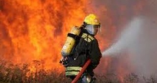4000 дка сухи треви и храсти изгоряха при пожар между ихтиманските села Вакарел и Верино