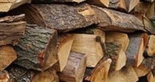 Служители на Държавно ловно стопанство Чекерица бяха заловени с незаконно придобити дърва