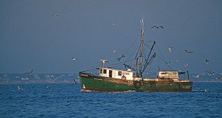 Риболовен кораб с трал на борда заловиха служители на Гранична полиция – Варна