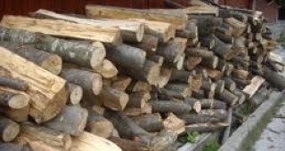 Регионалната дирекция по горите в Шумен глоби седем фирми, продаващи дървесина