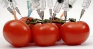 Пробутват ли ни тайно продукти с ГМО?