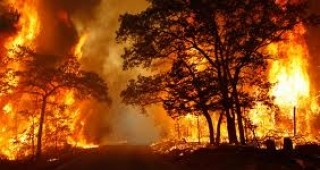 Продължава борбата с горските пожари в американския щат Тексас