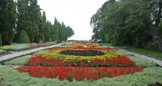 Засилен интерес от туристи към Ботаническата градина в Балчик