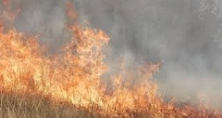 Сухи треви горят между село Баня и град Разлог