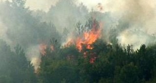 Трите големи пожара на територията на област Хасково не са локализирани