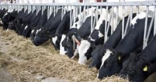 201 млн. лева национални доплащания очакват да получат животновъдите през 2012 г.