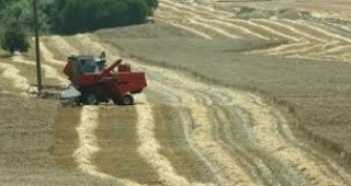 Земеделските производители избират как да се облагат доходите им за 2012 г.