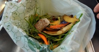 Германия одобри използването на биоразградими торбички за органични отпадъци